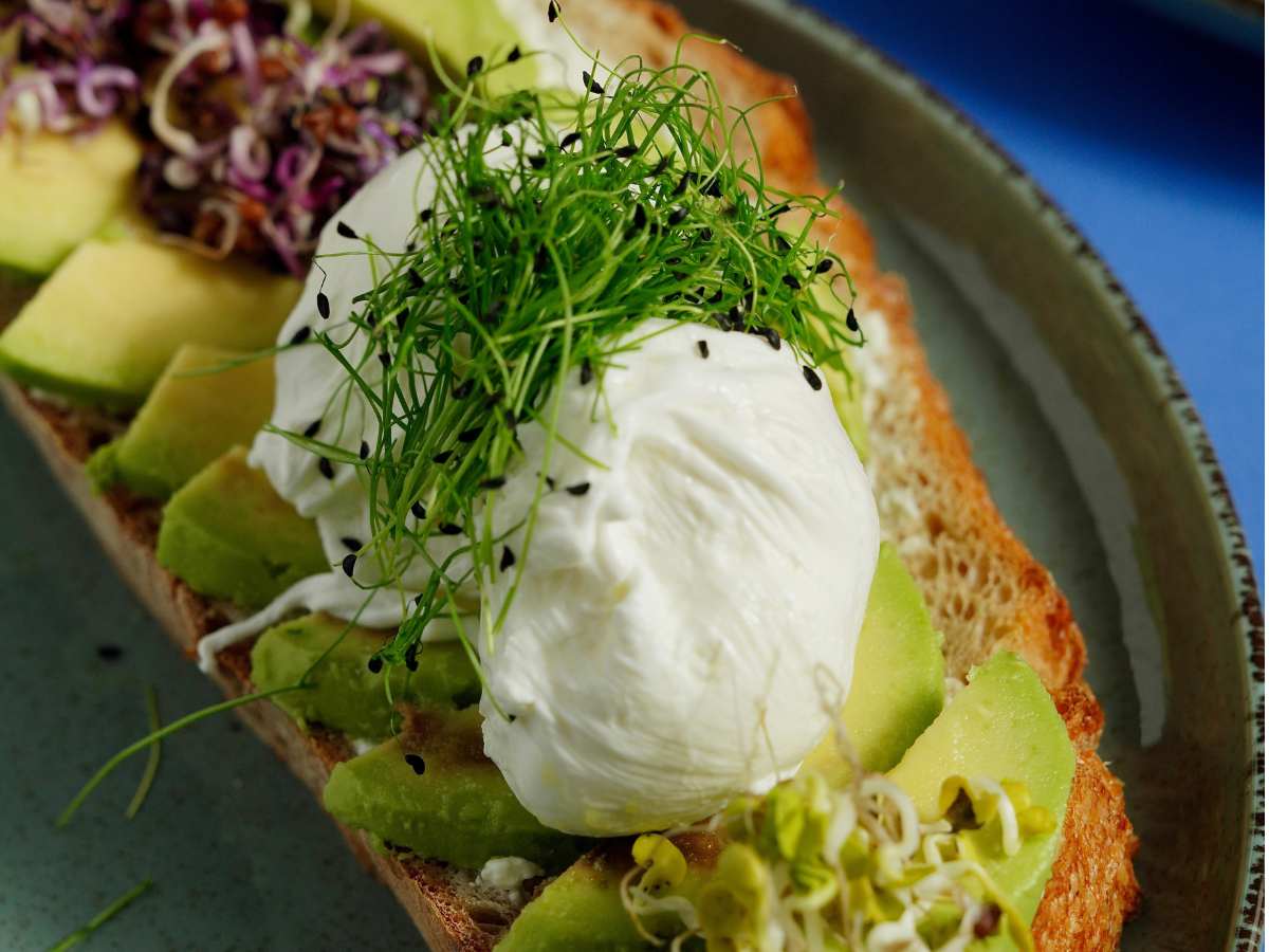 Alfalfa Sprouts vs. Broccoli Sprouts Easy Superfood Sprouts You Should